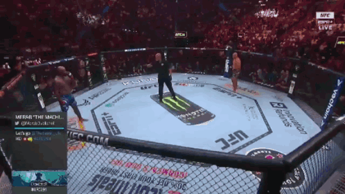 A Fighter In A Ufc Ring With A Monster Energy Logo On The Floor GIF
