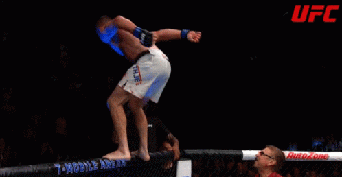 A Fighter Is Being Lifted In The Air In Front Of A Sign For Geico GIF