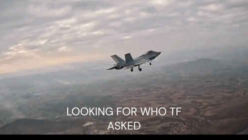 A Fighter Jet Is Flying In The Sky With The Words " Looking For Who Tf Asked " Above It GIF