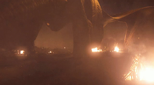 A Fire Is Burning In A Dark Area With A Few Buildings In The Background GIF