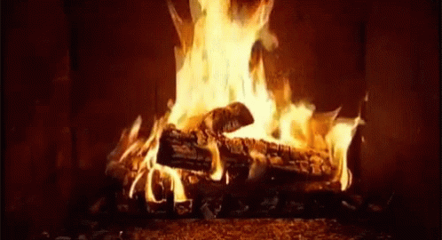 A Fire Is Burning In A Fireplace With Logs In It GIF
