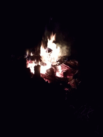 A Fire Is Burning In The Dark And Looks Like A Monster GIF