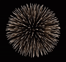 A Firework Display With The Words Lady Valiant Written In Blue GIF