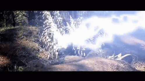 A Fireworks Display In The Woods With Smoke Coming Out Of It GIF