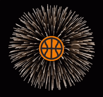 A Fireworks Display With A Circle With The Letter G On It GIF