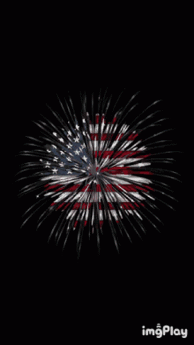 a fireworks display with an american flag design on it