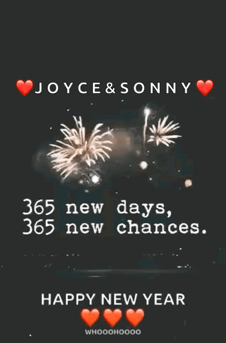 A Fireworks Display With Joyce And Sonny Written On It GIF
