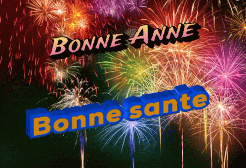 Fireworks With Bonne Anne Bonne Sante GIF
