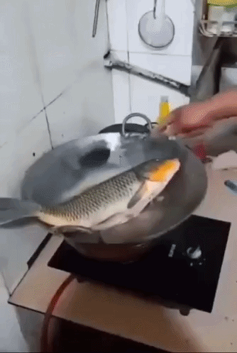 A Fish Is Being Cooked In A Pan On A Stove . GIF