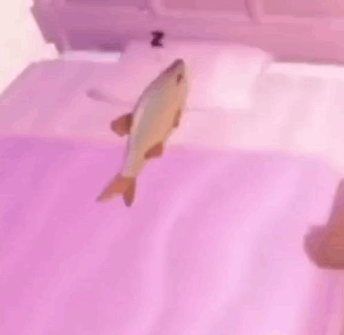 A Fish Is Floating On Top Of A Bed With A Purple Blanket . GIF