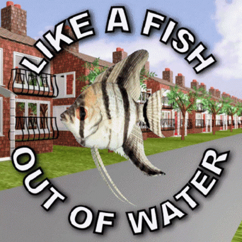 A Fish Is In A Circle With The Words Like A Fish Out Of Water GIF