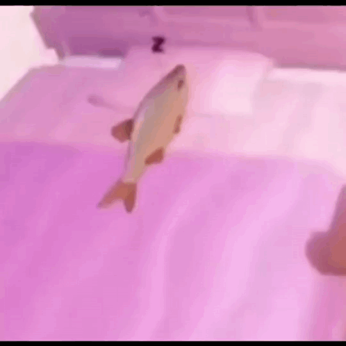 A Fish Is Sleeping On A Bed With A Pink Pillow . GIF