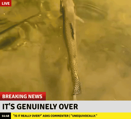 A Fish Is Swimming In A Body Of Water With A Breaking News Headline That Says It 'S Genuinely Over GIF