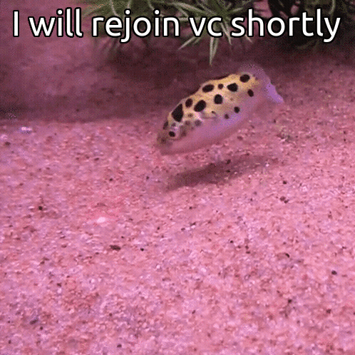 A Fish Is Swimming In The Sand With The Words " I Will Rejoin Vc Shortly " Written Above It GIF