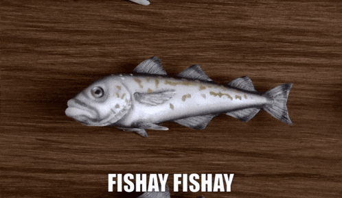 A Fish On A Wooden Table That Says Fishay Fishay On It GIF
