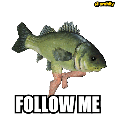 A Fish With Human Legs And The Words Follow Me GIF