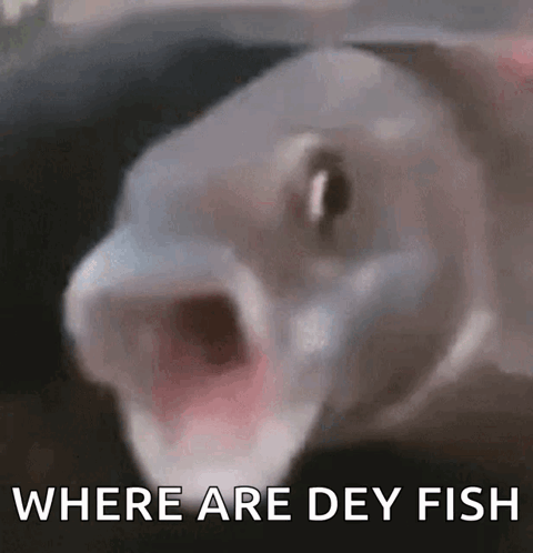 A Fish With Its Mouth Open And The Words `` Where Are Dey Fish '' Behind It . GIF