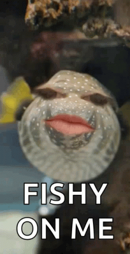 A Fish With Lipstick On Its Lips And The Words Fishy On Me GIF