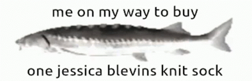 A Fish With The Words " Me On My Way To Buy One Jessica Blevins Knit Sock " Below It GIF