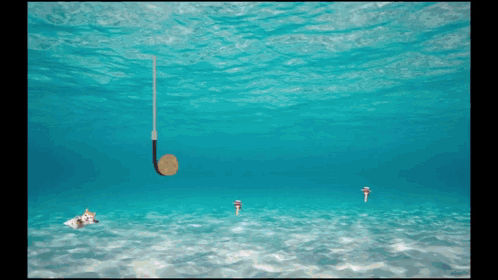Fishing Hook Hanging In Water GIF