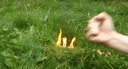 A Fist Is Being Thrown At A Fire In The Grass GIF