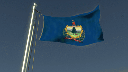 A Flag That Says ' Vermont ' On It Is Flying In The Wind GIF