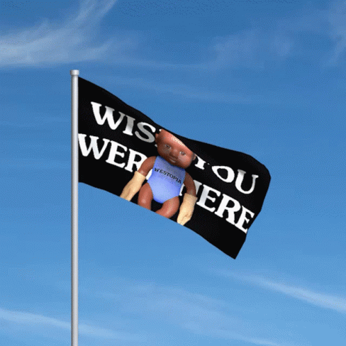 A Flag That Says " Wish You Were Here " On It GIF