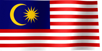 A Flag With A Crescent Moon And A Star On It GIF