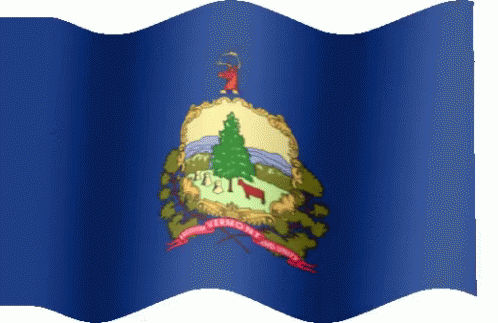 A Flag With A Deer On Top Of It That Says Patriot On It GIF