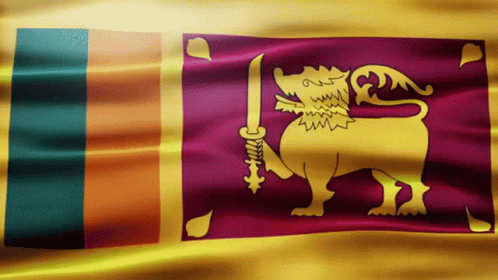 A Flag With A Lion And Sword On It GIF