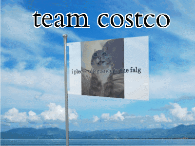 A Flag With A Picture Of A Cat And The Words Team Costco On It GIF