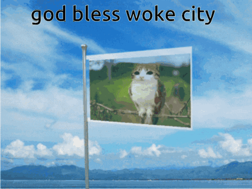 A Flag With A Picture Of A Cat On It And The Words God Bless Woke City GIF