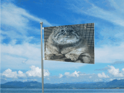 A Flag With A Picture Of A Cat On It Is Flying In The Wind GIF