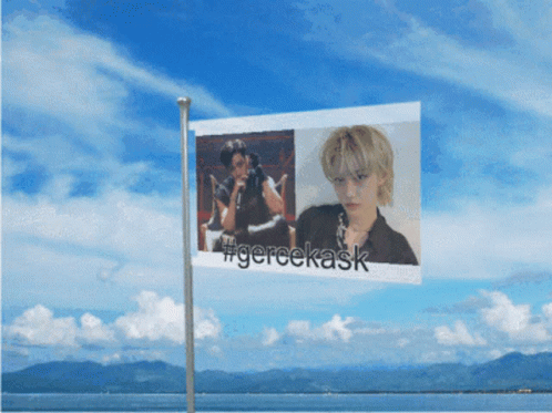 a flag with a picture of a girl and the words #gereekask