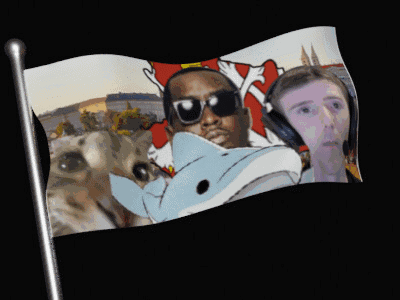 a flag with a picture of a man holding a dolphin on it