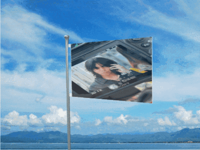 A Flag With A Picture Of A Woman On It That Says Sony On It GIF