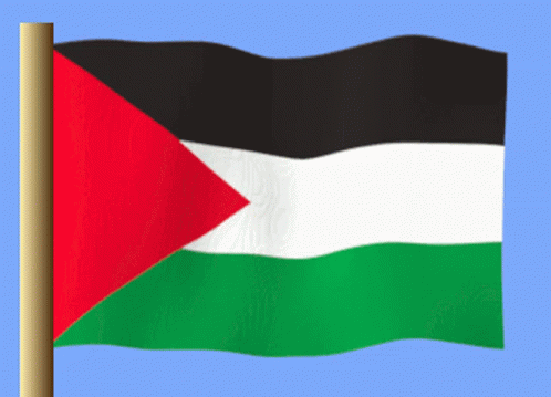 A Flag With A Red Triangle In The Middle Of It GIF