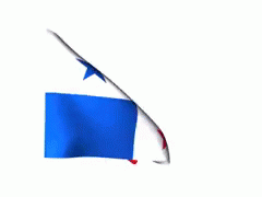 a flag with a red white and blue star on it