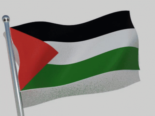 A Flag With A Red White And Green Triangle On It GIF