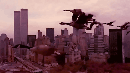 A Flock Of Geese Flying Over A City Skyline With The Twin Towers In The Background GIF