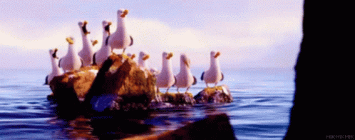 A Flock Of Seagulls Are Standing On Rocks In The Ocean GIF