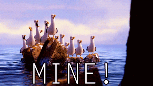 A Flock Of Seagulls Standing On Rocks In The Ocean With The Word Mine Written Below Them GIF