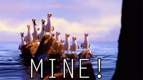 A Flock Of Seagulls Standing On Rocks In The Ocean With The Words Mine Written Below Them GIF
