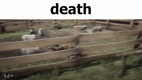 A Flock Of Sheep Are Running Through A Wooden Fence In A Field . GIF