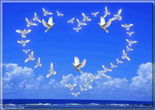 A Flock Of White Birds Flying In The Shape Of A Heart On A Blue Sky GIF