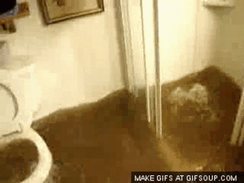 A Flooded Bathroom With A Toilet And Sink And A Make Gifs At Gifsoup.com Watermark GIF