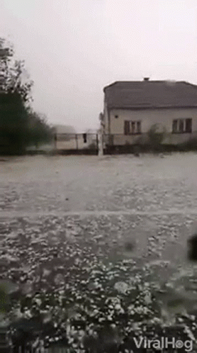 A Flooded Yard With A House In The Background And The Words Viralhog On The Bottom Right GIF