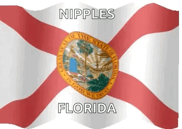 a florida flag with the words nipples florida on it