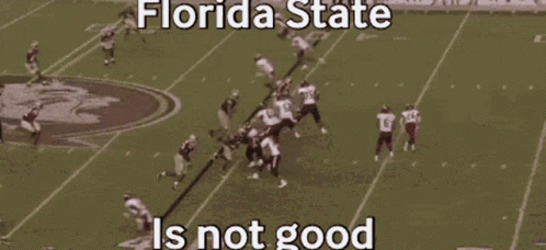 a florida state football game is being played on a field .