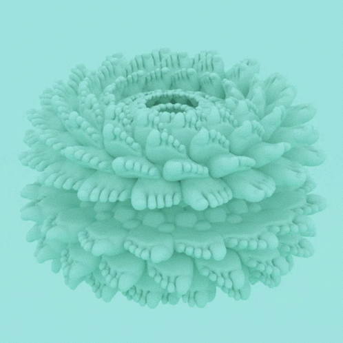 A Flower Made Out Of Feet On A Blue Surface GIF